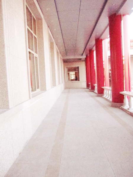黑龙江省大庆市世纪大道南侧平房区维修改造暨装饰装修项目